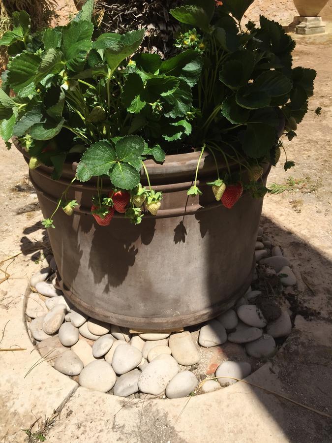 Bed and Breakfast Casale Rocca Fiorita Acate Екстер'єр фото